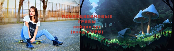 spice Киренск