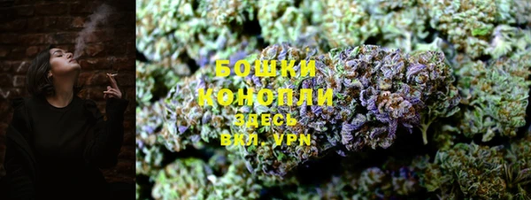 spice Кинешма