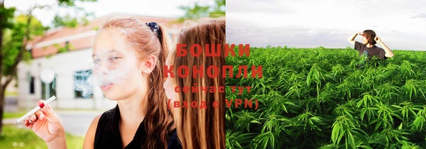 spice Кинешма