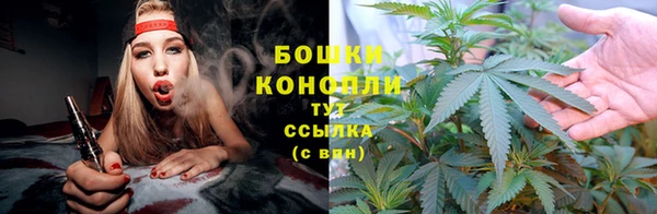 spice Кинешма