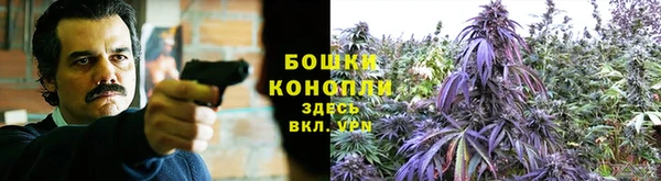 spice Киренск