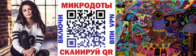 Галлюциногенные грибы Psilocybe  Кораблино 